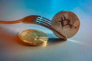 Hard Fork vs Soft Fork Explained